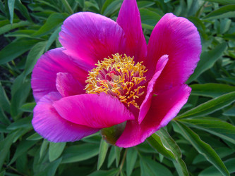 Similar image 1682731