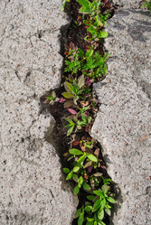 Similar image 1682733