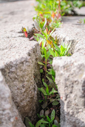 Similar image 1682734