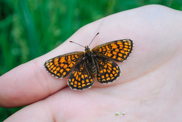 Similar image 1682736