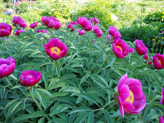 Similar image 1682737