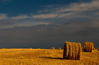 Similar image 1682743