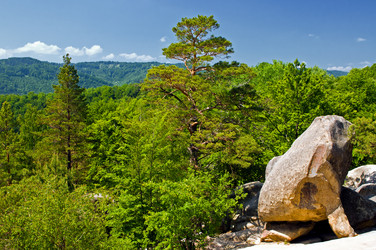 Similar image 1682748