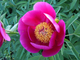 Similar image 1682758