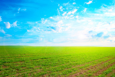 Similar image 1682970