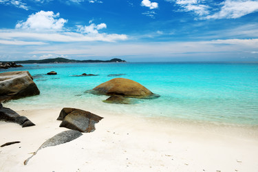 Similar image 1683053