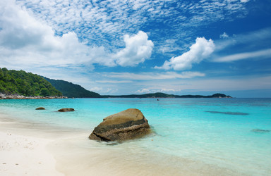 Similar image 1683057