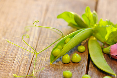 Similar image 1683060