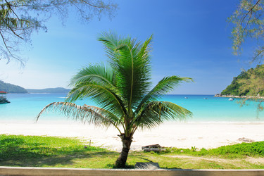 Similar image 1683098