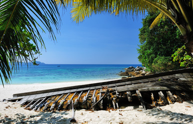 Similar image 1683106