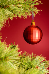 Similar image 1683134