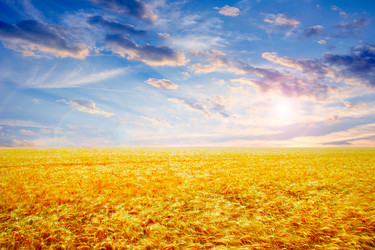 Similar image 1683176