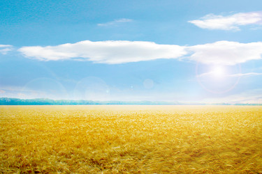 Similar image 1683178