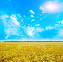 Similar image 1683180