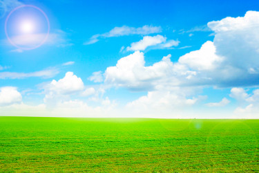 Similar image 1683208