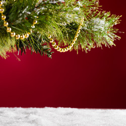 Similar image 1683229