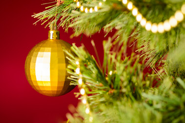 Similar image 1683251