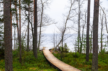 Similar image 1683254