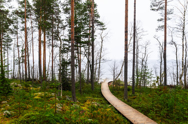 Similar image 1683260