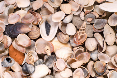 Similar image 1683262