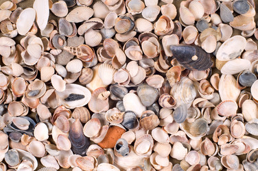 Similar image 1683273