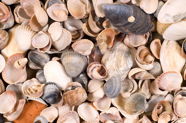 Similar image 1683274