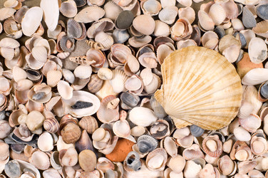 Similar image 1683275