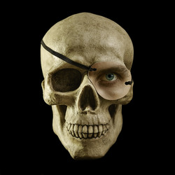 Similar image 1683291