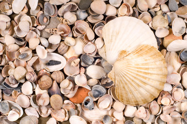 Similar image 1683294