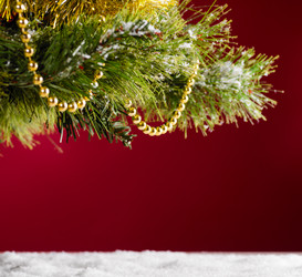 Similar image 1683300