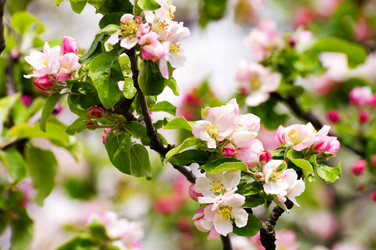 Similar image 1683303