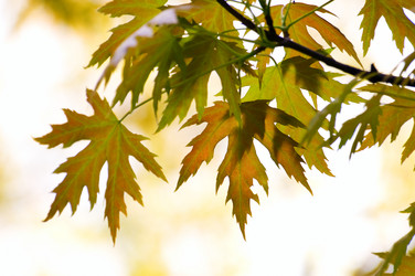 Similar image 1683305