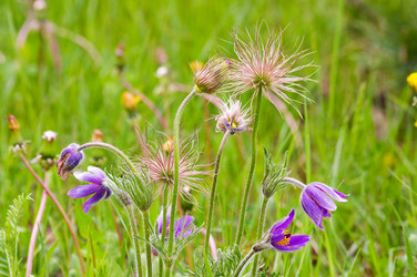 Similar image 1683306