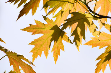 Similar image 1683311