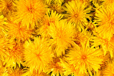 Similar image 1683312