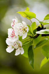 Similar image 1683316