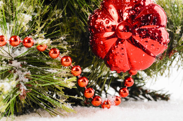 Similar image 1683318