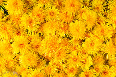 Similar image 1683317