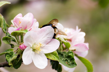 Similar image 1683319