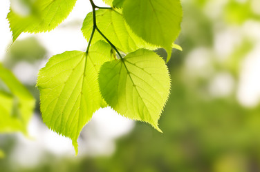 Similar image 1683322