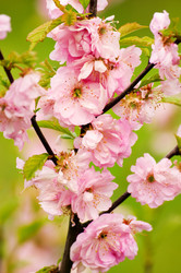 Similar image 1683325