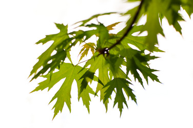 Similar image 1683326