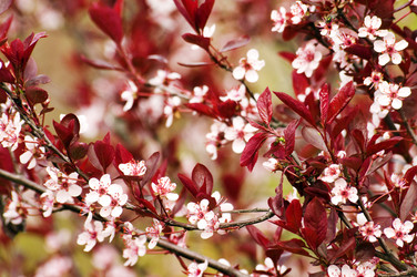 Similar image 1683329