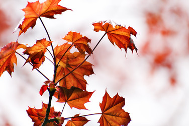 Similar image 1683328