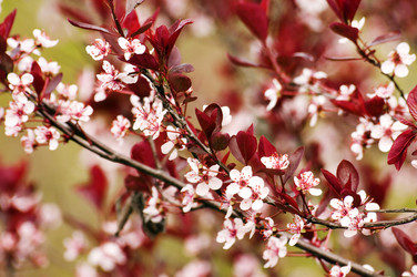 Similar image 1683331