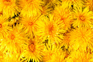 Similar image 1683332