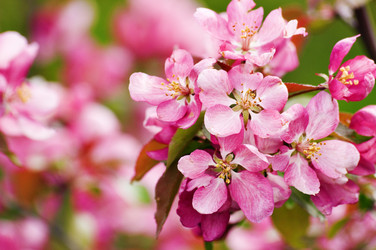 Similar image 1683335