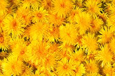 Similar image 1683337