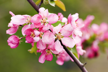 Similar image 1683338