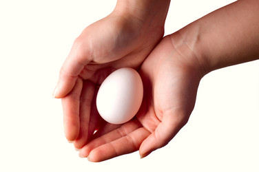 Similar image 1683340